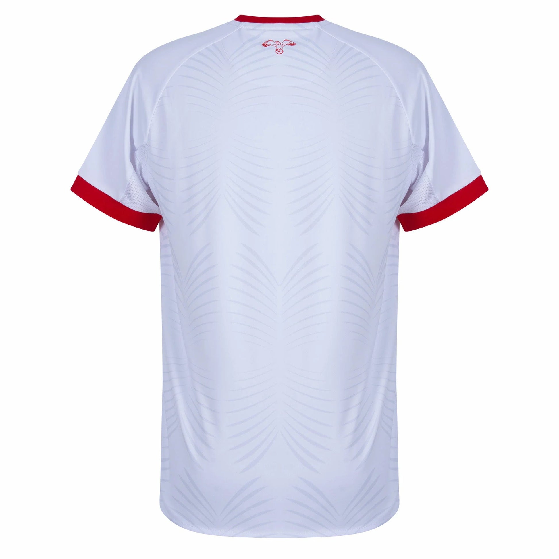 Jordan Soccer Jersey – 2025 Kelme Official Jordan National Football Team Jersey (HOME) - Dahhan Sports